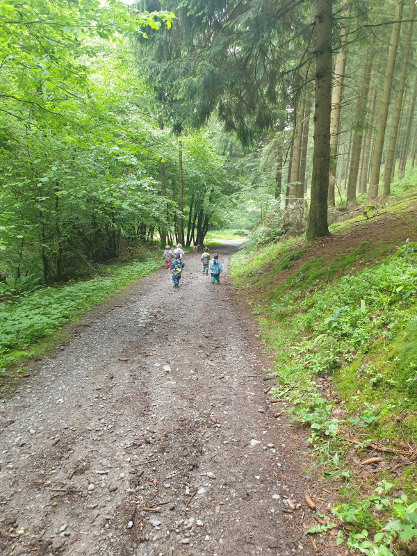 Unterwegs im Wald